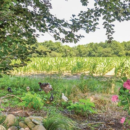 Lovely Home In Charritte De Bas With Wifi Extérieur photo